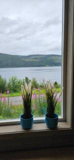 Fjordblikk newly built cottage with panoramic view - 3