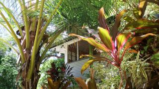 Zanzoo Estate, Rainforest-Pool&Tennis- sleep 16 - 8