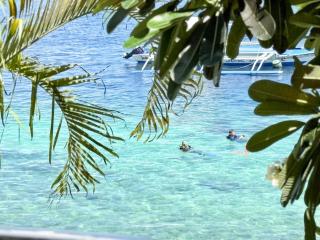 Private Beach Villa with Balcony and Sea View in Panagsama, Moalboal Cebu Near Famous Sardines Run and Turtle Watching - 4