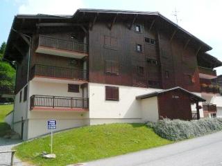 Résidence Ecrin Des Glaciers Daim - Ecrin des Glaciers D41 MAE-6334 - 2