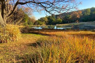 Happy Valley Campsites - 4