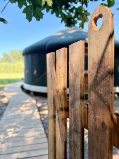 Yourte au milieu des alpagas un reve accessible - 7