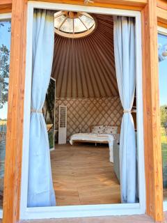 Yourte au milieu des alpagas un reve accessible - 4
