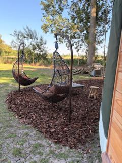 Yourte au milieu des alpagas un reve accessible - 3