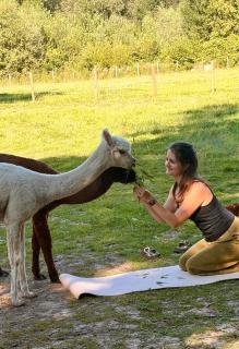 Yourte au milieu des alpagas un reve accessible - 1