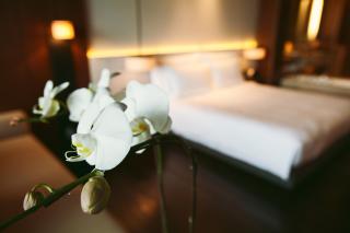 OCT Bay Breeze Hotel - 9