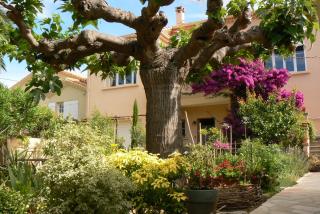 L' Escale Tranquille - Sète - 4