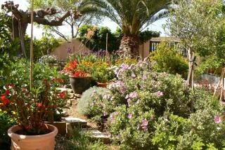 L' Escale Tranquille - Sète - 6