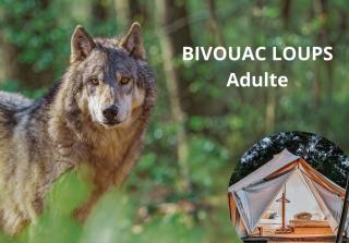 BIVOUAC Espace Rambouillet Parc forestier et animalier - 5