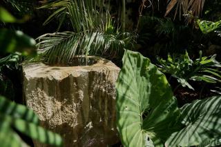Casa Verde Pool and Garden Historic Oaxaca - 1