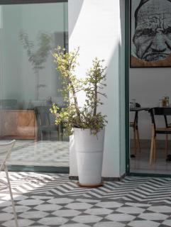 Dar Dou Boutique Guesthouse Art and Pool in Tunis Medina - 1
