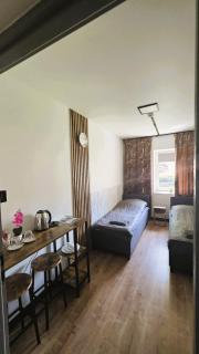 Noclegi Bezpłatny Dowóz AirNest24 Lotnisko Katowice-Pyrzowice - 5