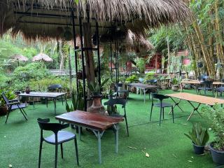 Tree and coffee resort V1 - 3