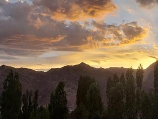 The Grand View Ladakh, Leh - 9