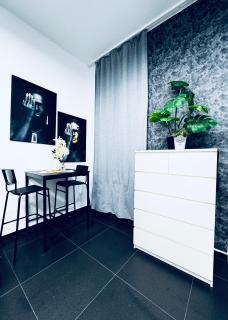 Modern & Cozy Studios -15 Min to Rathausplatz & Vienna Center - 6