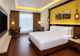 Radisson Gwalior - 4