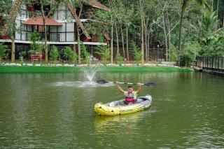Wayanad Vista Palm View Villa - 4