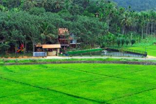Wayanad Vista Palm View Villa - 2