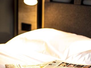 ibis Wels - 5