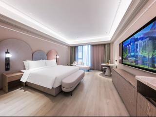 Mercure Xi'an New Software City - 5