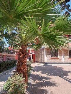 Savannah Paradise Hotels Ltd - 2