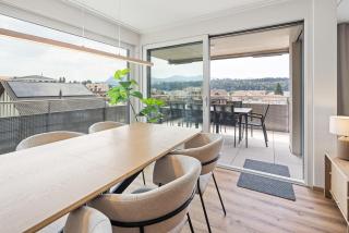 Yari Stay - Pilatus Penthouse & Rigi Apartment near Lucerne - 3
