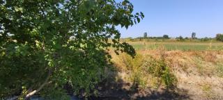 Field Stop Camp - 1