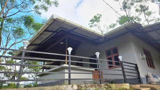 Jungle's Edge - 9