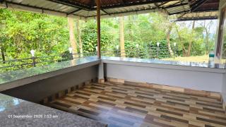 Jungle's Edge - 7