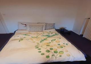 Cozy Room with Private Bathroom Near Berlin Airport - 8