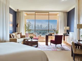 Raffles Dubai - Dubai - 5