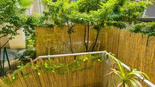 Cozy 1BR Apt with Living Room & Garden Included - Vienne - 1