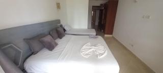 Eve holiday homes - 6