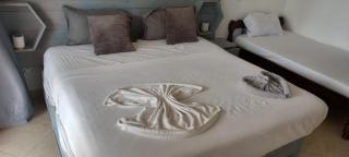 Eve holiday homes - 4