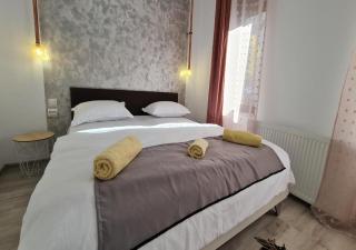 Pomiculturii 2 - Modern 1BR Apartment Timisoara - 1