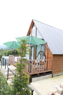 GNDT Cabin with Mountain View & Hot Tub - 3