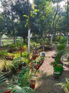 Singh Farmhouse Ranchi - 6