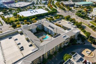 Modern 1BR Frisco Escape, Pool and Gym - 6