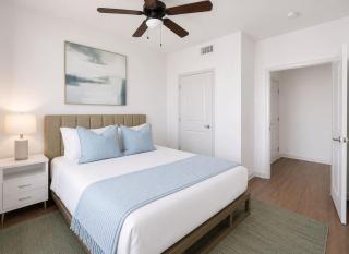 Modern 1BR Frisco Escape, Pool and Gym - 3