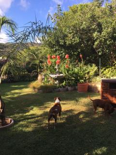 Cosy Cottage - Sedgefield - 5