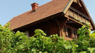 Kellerstöckl am Rosenberg - Straden - 0