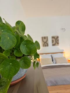 Stadtquartier Baden operated by HostGuides - 5