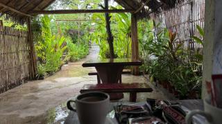 Amelie Guesthouse - 1