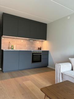 Modern, central and newly renovated apartment - 1