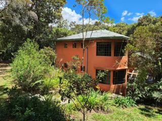 House for 10 in an oak forest Santa Elena - 6