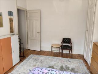 Spacious unique 150m2 apartment Geneva city center - 3