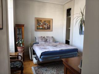 Spacious unique 150m2 apartment Geneva city center - 4