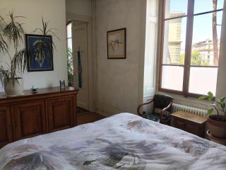 Spacious unique 150m2 apartment Geneva city center - 3