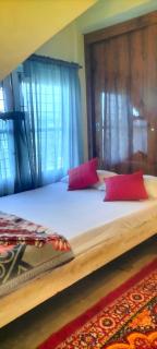Urban cabin homestay AC Extra chargeable - 7