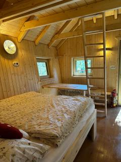 Treehouses Karlov pod Pradědem - 5